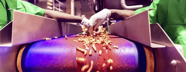 Alimentation ultra-transformée : La grande tromperie