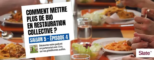 Comment mettre plus de bio en restauration collective ?