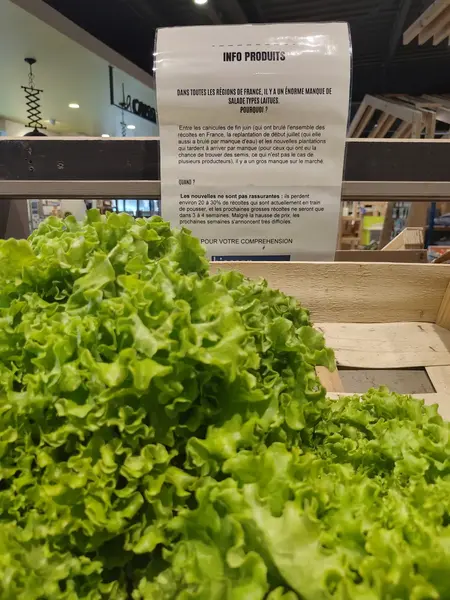 Les rayons fruits et légumes des magasins impactés par les canicules Les rayons fruits et légumes des magasins impactés par les canicules